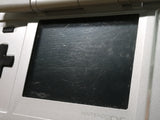 LG6173 With Defects - Nintendo DS Platinum Silver Console Nintendo Japan