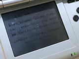 LG6859 With Defects - Nintendo DS Platinum Silver Console Nintendo Japan