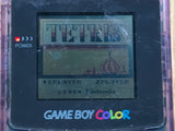 LG7424 With Defects - GameBoy Color Clear Purple Console Nintendo Japan