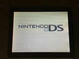 LG7825 With Defects - Nintendo DS Graphite Black Console Nintendo Japan