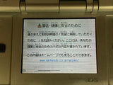 Nintendo DS Platinum Silver Console Nintendo Japan - With Defects LG8147