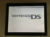 Nintendo DS Platinum Silver Console Nintendo Japan - With Defects LG8454