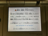 Nintendo DS Platinum Silver Console Nintendo Japan - With Defects LG8668