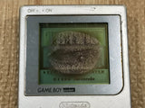 GameBoy Pocket Silver Console Nintendo Japan - With Defects LG9031