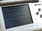 Nintendo DS Platinum Silver Console Nintendo Japan - With Defects LG9213