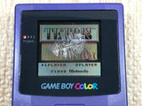 GameBoy Color Purple Console Nintendo Japan - With Defects LG9555