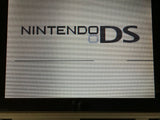 Nintendo DS Platinum Silver Console Nintendo Japan - With Defects LG9613