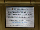 Nintendo DS Platinum Silver Console Nintendo Japan - With Defects LH1232