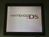Nintendo DS Turquoise Blue Console Nintendo Japan - With Defects LH1323