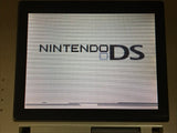 Nintendo DS Platinum Silver Console Nintendo Japan - With Defects LH1326