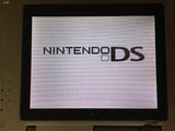 Nintendo DS Platinum Silver Console Nintendo Japan - With Defects LH1327