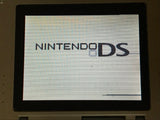 Nintendo DS Platinum Silver Console Nintendo Japan - With Defects LH1990