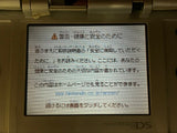 Nintendo DS Platinum Silver Console Nintendo Japan - With Defects LH2125