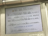 Nintendo DS Graphite Black Console Nintendo Japan - With Defects LH2634