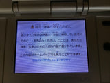 Nintendo DS Platinum Silver Console Nintendo Japan - With Defects LH2709