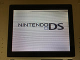 Nintendo DS Platinum Silver Console Nintendo Japan - With Defects LH2709
