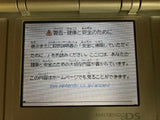 Nintendo DS Platinum Silver Console Nintendo Japan - With Defects LH2710