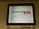 Nintendo DS Platinum Silver Console Nintendo Japan - With Defects LH2713