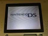 Nintendo DS Platinum Silver Console Nintendo Japan - With Defects LH2714