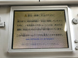 Nintendo DS Lite Gross Silver Console Nintendo Japan - With Defects LH2726