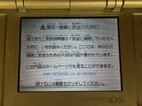 Nintendo DS Platinum Silver Console Nintendo Japan - With Defects LH3193 - Photo 11