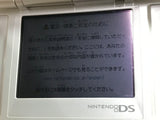 Nintendo DS Pure White Console Nintendo Japan - Tested Working MA1087