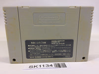 SK1134 Super Puyo Puyo SNES Super Famicom Japan