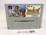 SK1193 Hiryuu no Ken S Golden Fighter SNES Super Famicom Japan