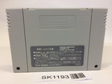 SK1193 Hiryuu no Ken S Golden Fighter SNES Super Famicom Japan