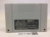 SK1196 Ryuu Kihei Dan Danzarubu SNES Super Famicom Japan