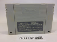 SK1293 F Zero SNES Super Famicom Japan