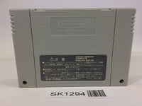 SK1294 Exhaust Heat F1 ROC Race of Champions SNES Super Famicom Japan