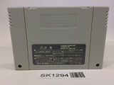 SK1294 Exhaust Heat F1 ROC Race of Champions SNES Super Famicom Japan