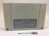 SK1310 Super Mario World SNES Super Famicom Japan