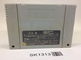 SK1313 Super Mario World SNES Super Famicom Japan