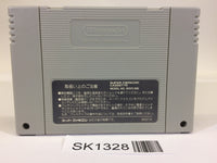 SK1328 Super Donkey Kong Country SNES Super Famicom Japan