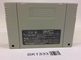 SK1333 Super Donkey Kong Country 2 SNES Super Famicom Japan
