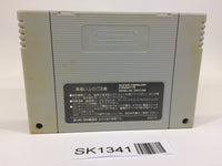 SK1341 Final Fight 2 SNES Super Famicom Japan