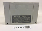 SK1342 Fatal Fury Special SNES Super Famicom Japan