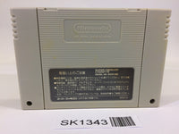 SK1343 Fatal Fury Special SNES Super Famicom Japan