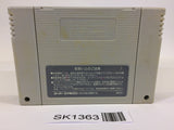 SK1363 Final Fantasy IV 4 SNES Super Famicom Japan