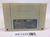 SK1375 Romancing SaGa SNES Super Famicom Japan