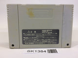 SK1384 Daikaijuu Monogatari II 2 SNES Super Famicom Japan