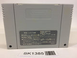 SK1385 Wizardry Gaiden 4 Throb of the Demon's Heart SNES Super Famicom Japan