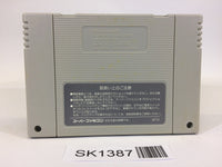 SK1387 Ultima VI 6 Itsuwari no Yogensha SNES Super Famicom Japan