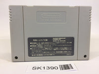 SK1390 Estpolis Denki II 2 Lufia SNES Super Famicom Japan