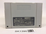 SK1390 Estpolis Denki II 2 Lufia SNES Super Famicom Japan