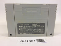 SK1391 Silva Saga II 2 The Legend of Light&Darkness SNES Super Famicom Japan