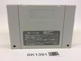 SK1391 Silva Saga II 2 The Legend of Light&Darkness SNES Super Famicom Japan