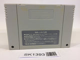 SK1393 Gdleen SNES Super Famicom Japan